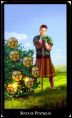 7 пентаклей